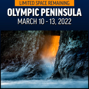 Olympic Peninsula - March 10 - 13, 2022