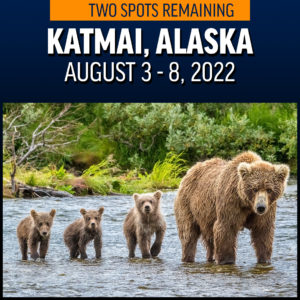 Katmai Alaska - August 3 - 8, 2022