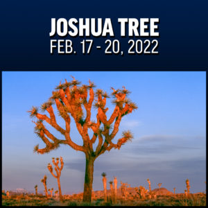 Joshua Tree - Feb. 17 - 20, 2022