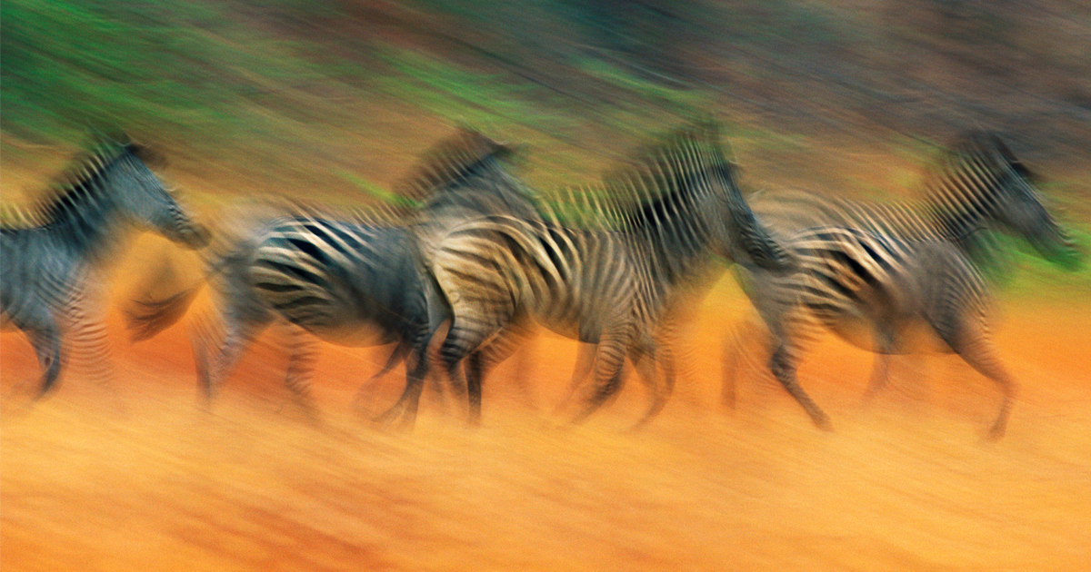 Intentional Camera Movement (ICM) - Wisdom Wednesday! - Art Wolfe