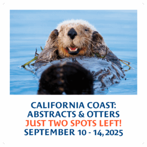 California Coast: Abstracts & Otters - Just two spots left! September 10-14, 2025