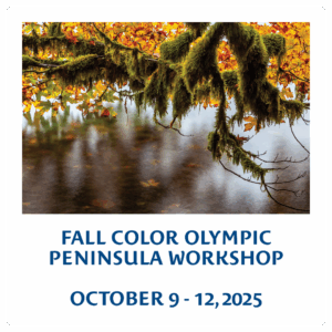 Fall Color Olympic Peninsula Workshop - October 9-12, 2025