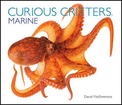 CURIOUS_CRITTERS_Marine_Cover_David_FitzSimmons