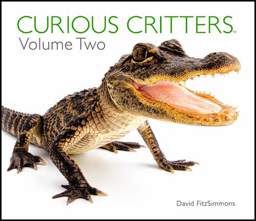 CURIOUS_CRITTERS_Volume_Two_Cover_David_FitzSimmons