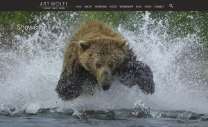 Art Wolfe New Website
