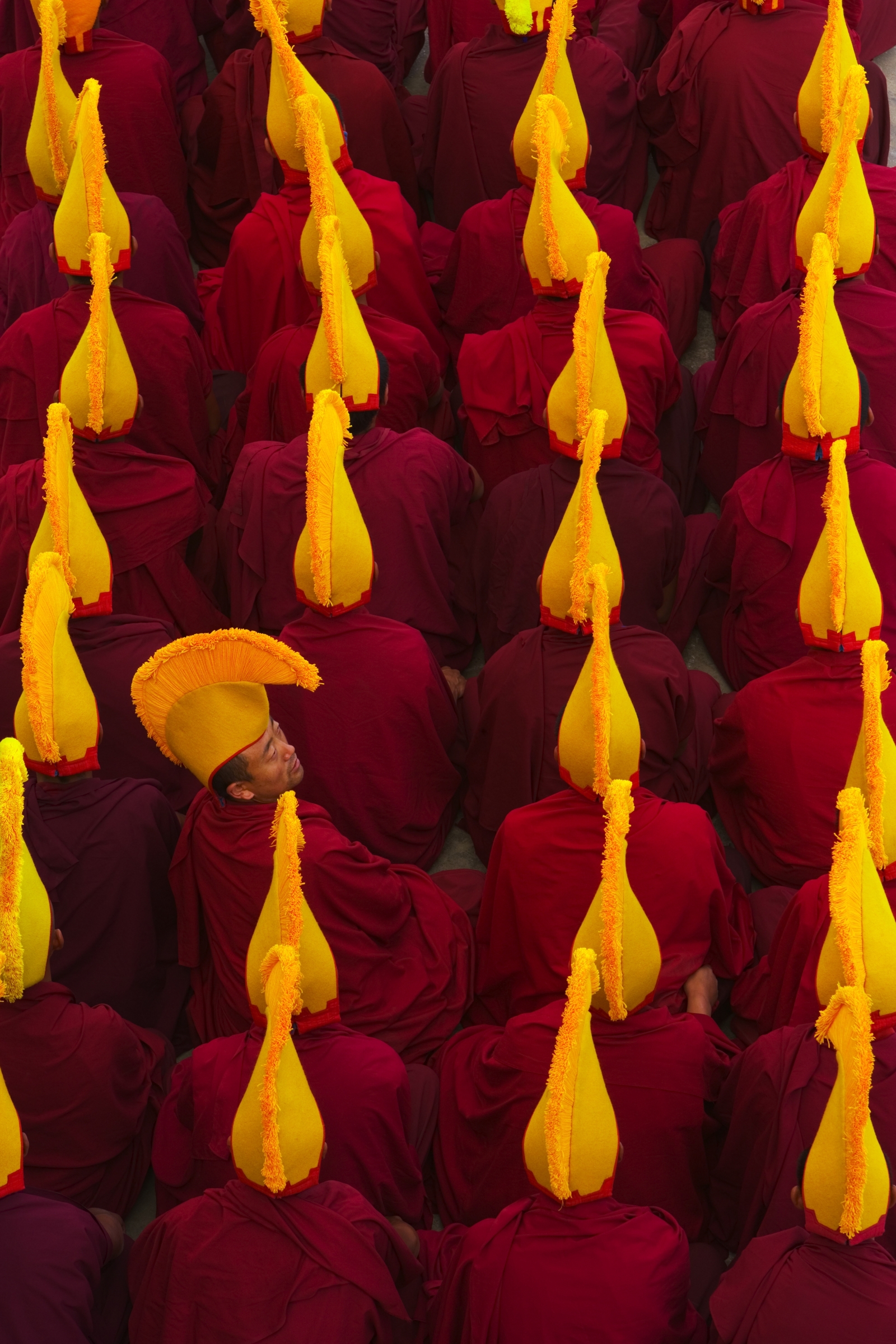 Distraction - Art Wolfe