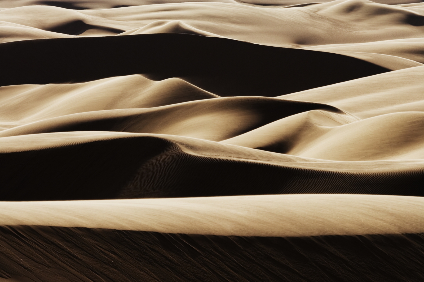 Sand Dunes, Kunene, Namibia - Art Wolfe