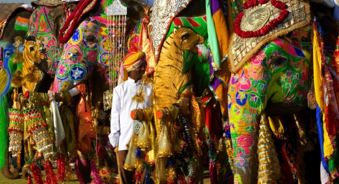 Mahout and his painted elephants, Jaipur, India
