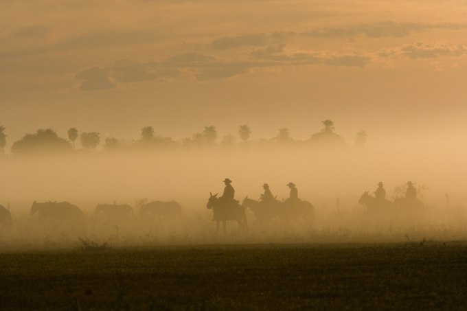 Cowboys are sillhouetted in dust their horses have kicked up on a ride in Fazenda Rio Negro, Brazil.
