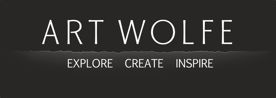 (c) Artwolfe.com