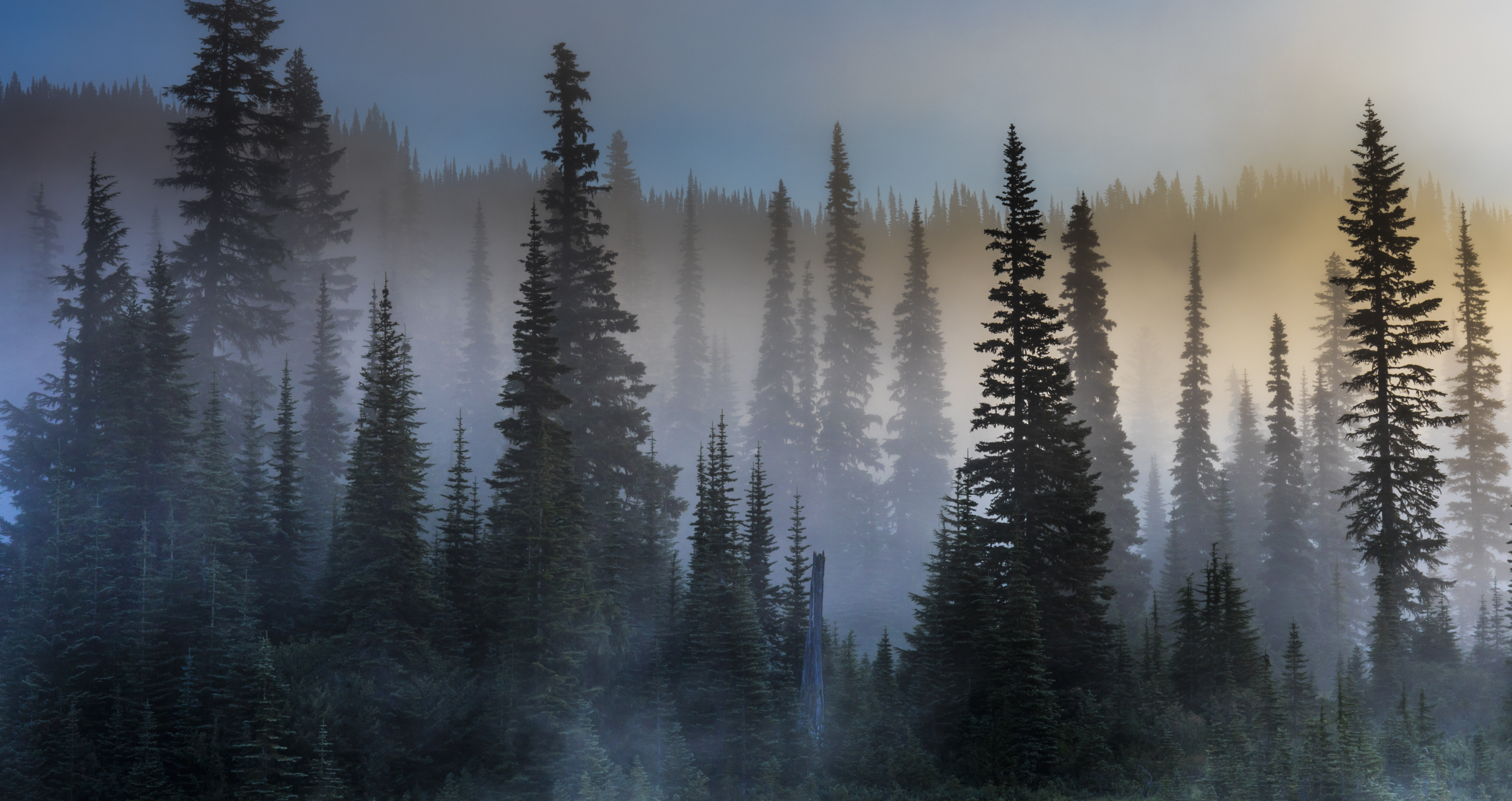 Alpine Dawn - Art Wolfe