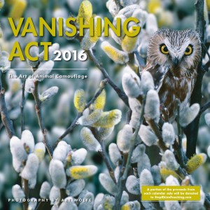 2016 Vanishing Act cover