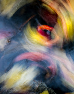 Visit Photography as Art