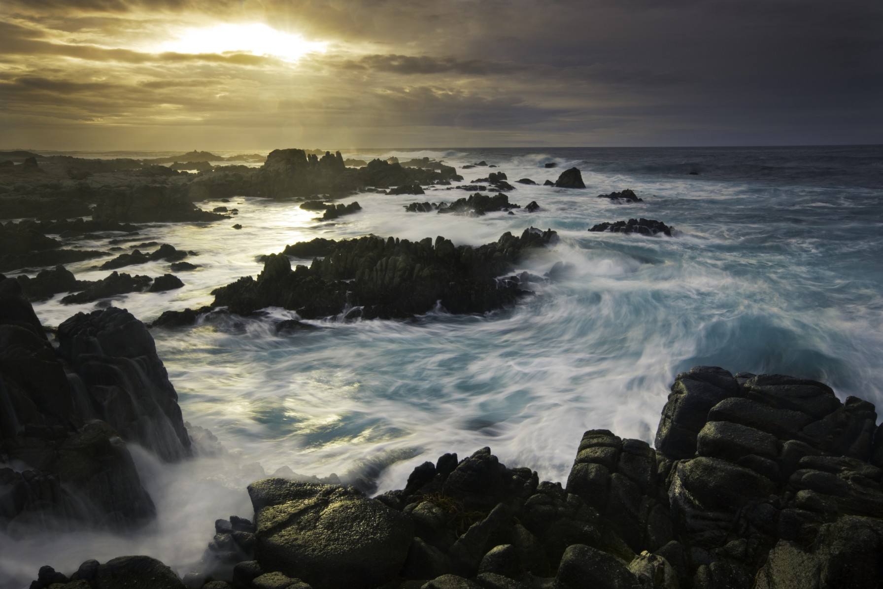 Rhythms From the Wild Archives - Art Wolfe