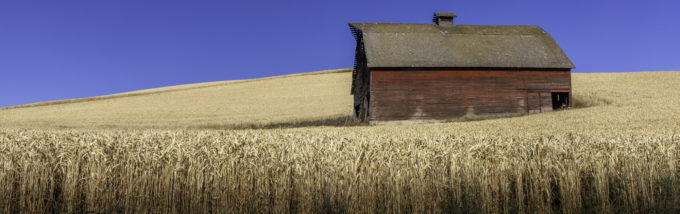 Barn in wheatfields, Palouse, Washington, USA