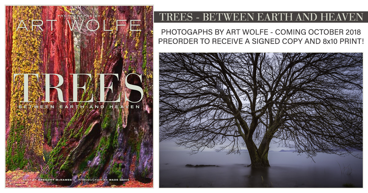 TREES BETWEEN EARTH AND HEAVEN Preorders Receive Signed Copy & Print! Art Wolfe