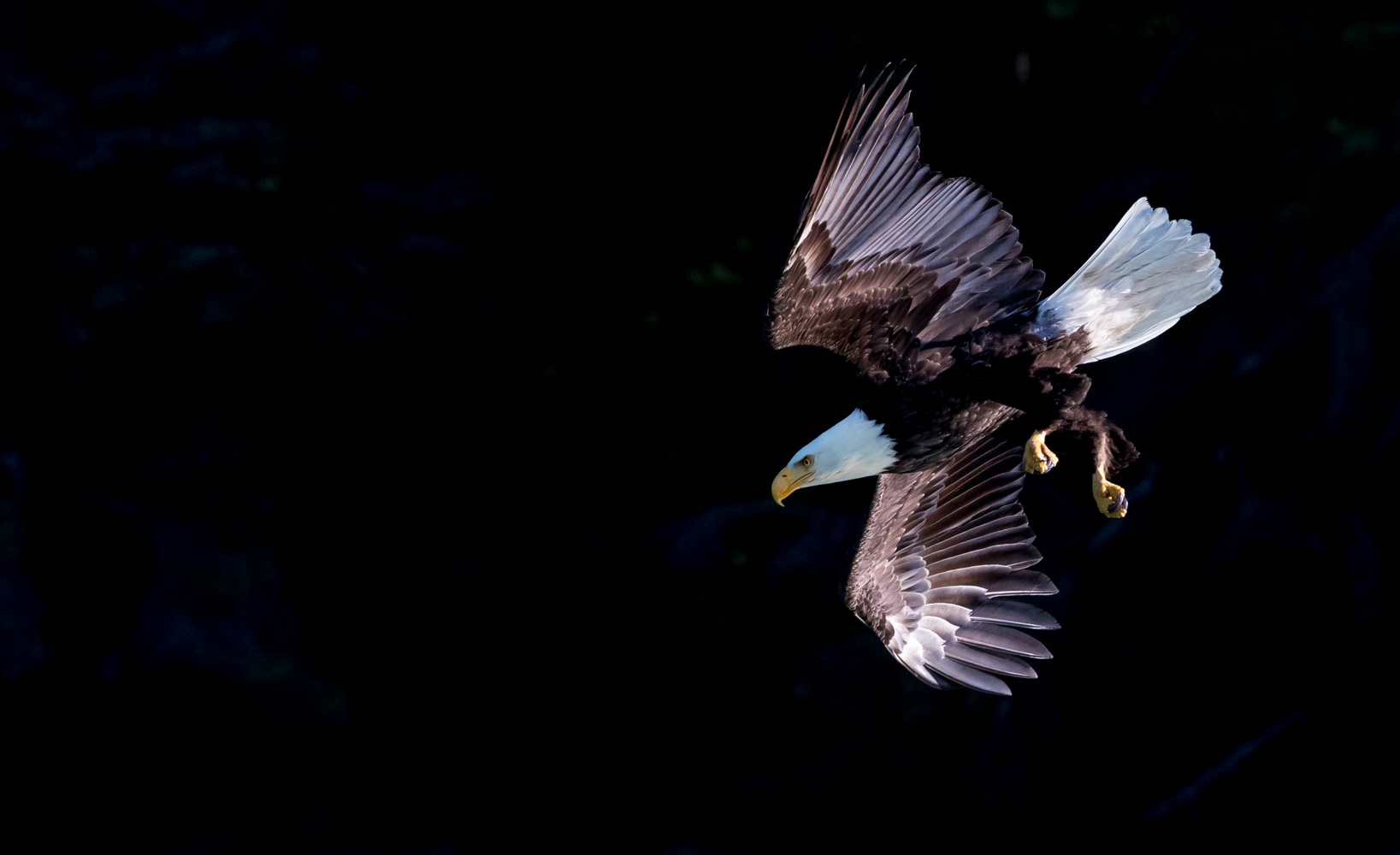 Art Wolfe Nature & Cultural Photography 18889730011