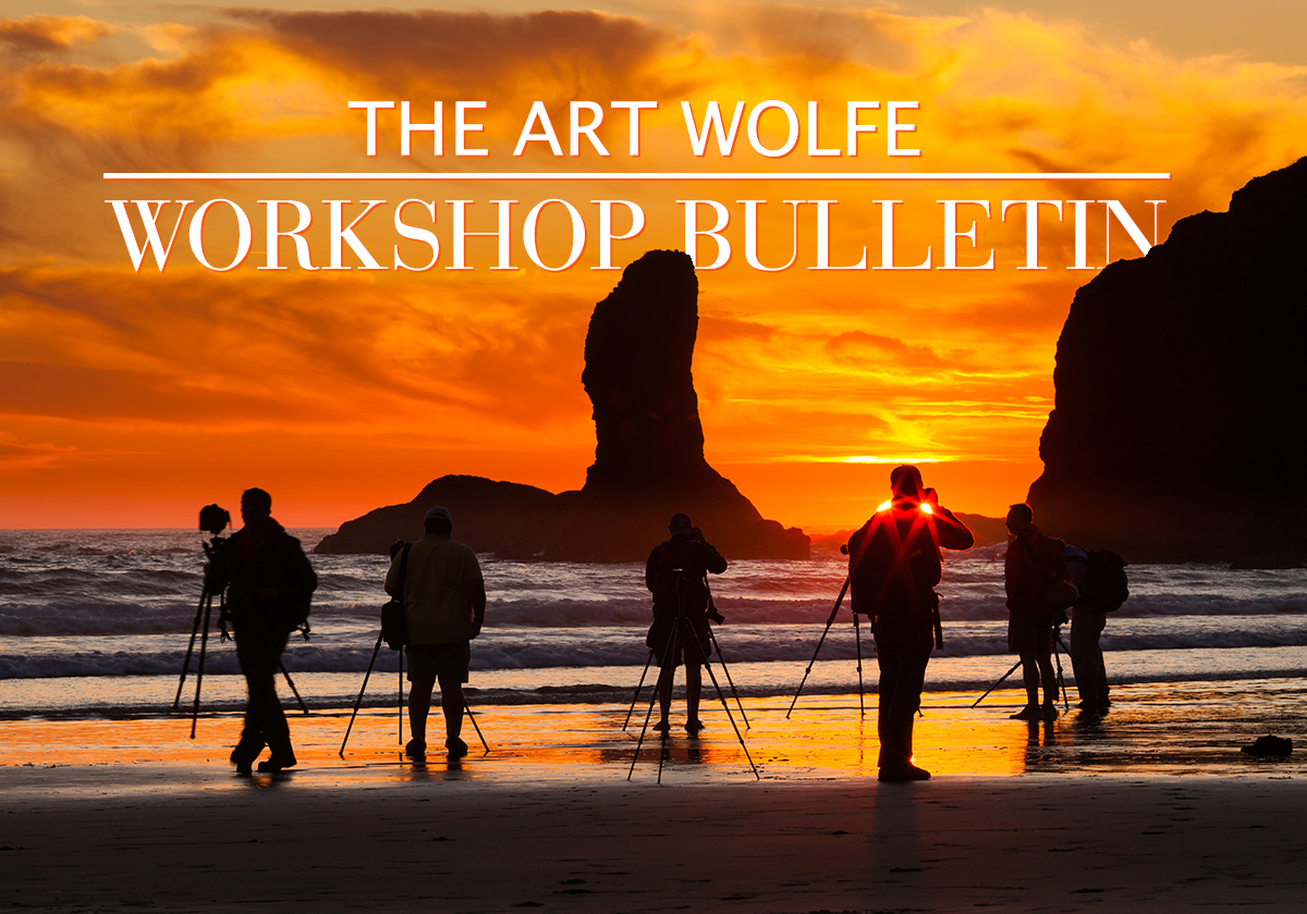 Workshopwednesday Upcoming Workshops In The Pacific Northwest And More Art Wolfe 