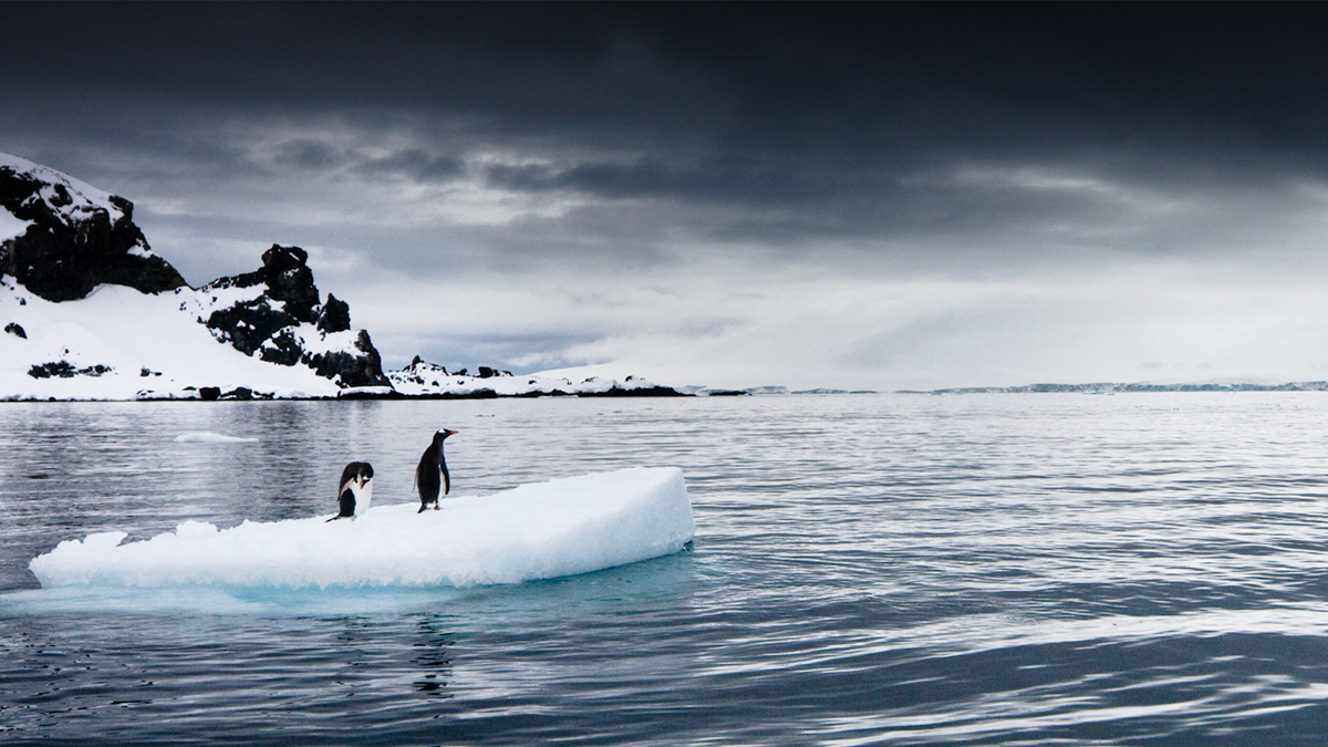 #TravelTuesday - 15 Years of December Images! - Art Wolfe