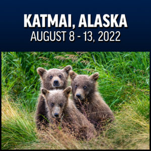 Katmai, Alaska - August 8 - 13, 2022