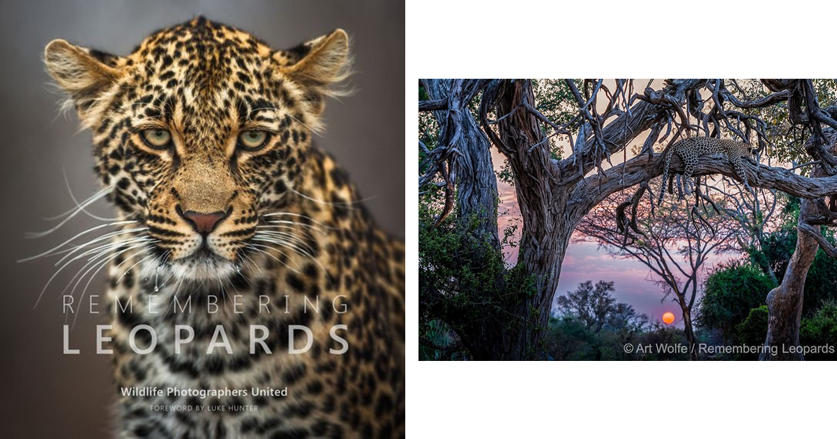From Art's Bookshelf The New Big 5 & Remembering Leopards Art Wolfe