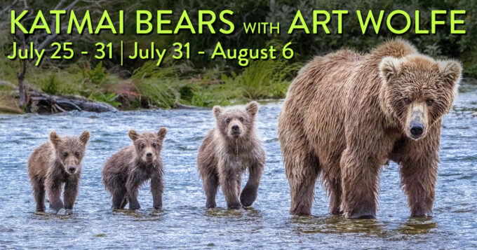 Art Wolfe's Katmai Bears in Alaska Workshops 2024