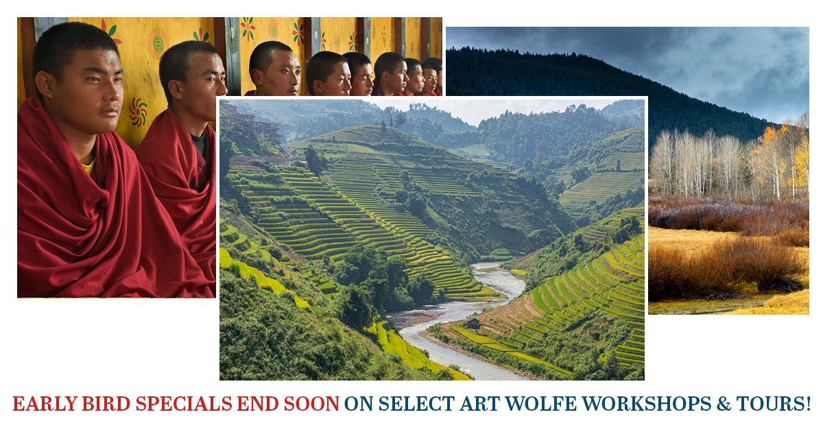 Early Bird Specials End Soon on Art Wolfe Workshops And Tours