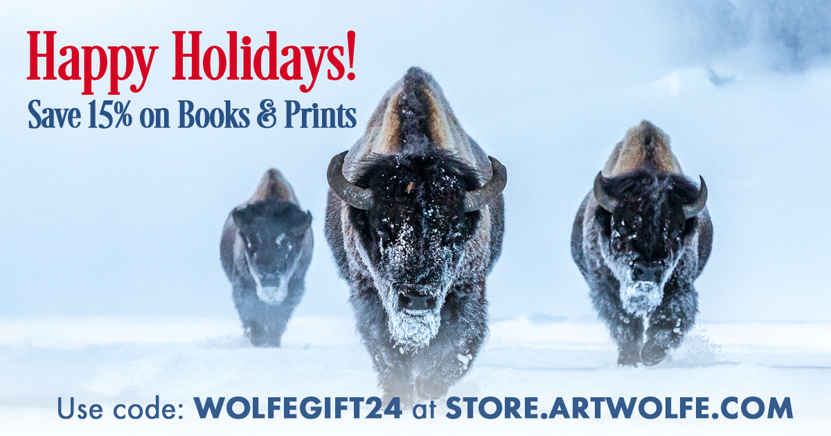 Happy Holidays from Art Wolfe - Save 15% on all books and prints at store.artwolfe.com using code WOLFEGIFT24