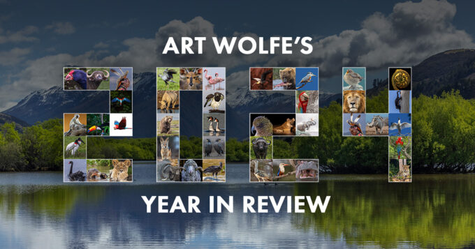 Art Wolfe Year In Review