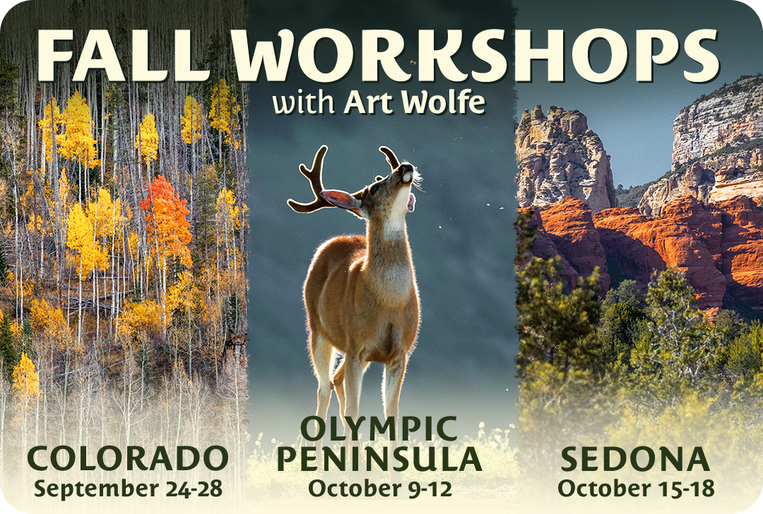 Art Wolfe Fall 2025 Photography workshops