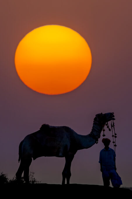pushcar camel festival, india
